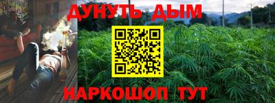 прущие грибы Волжск