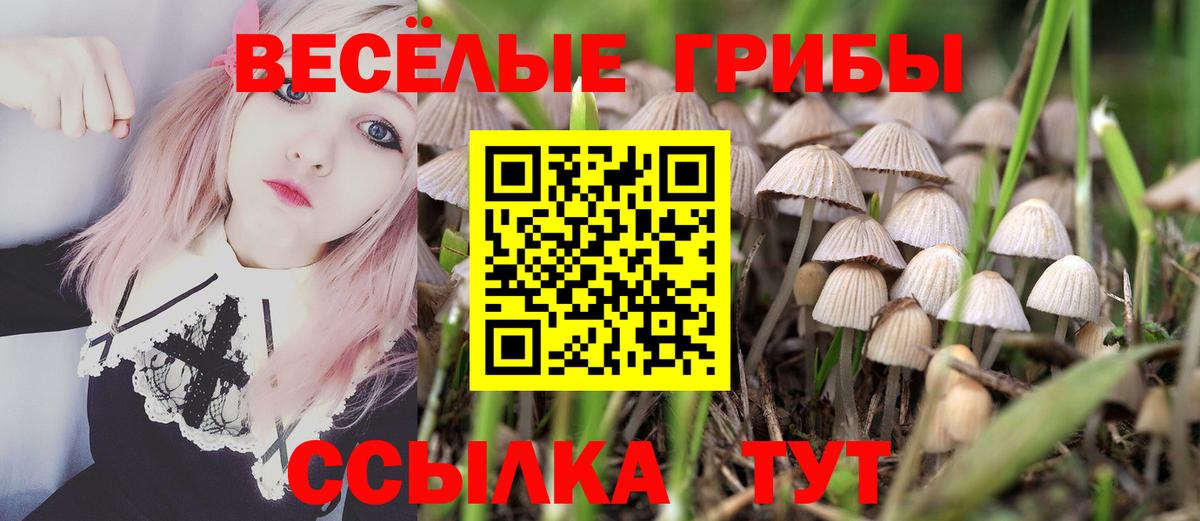 Благовещенск  купить наркотики цена  Вход с VPN  Псилоцибиновые грибы MAGIC MUSHROOMS 