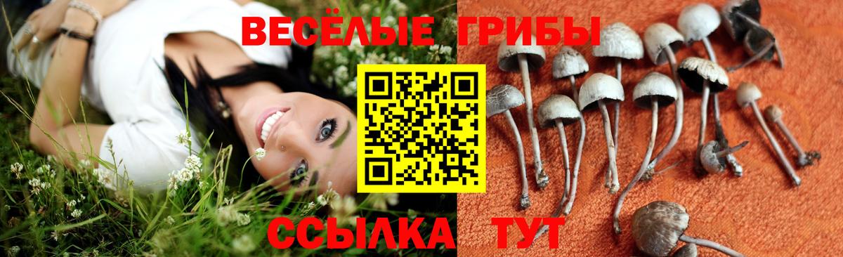 Галлюциногенные грибы мицелий Благовещенск